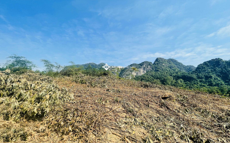 image slide